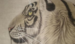 4虎 国产精品,探索中国影视新高度